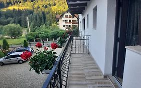 Casa Dana Olteanu
